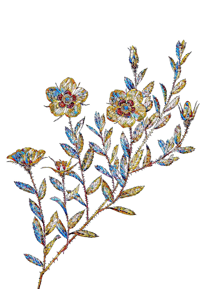 Stained Glass Rose Flower
