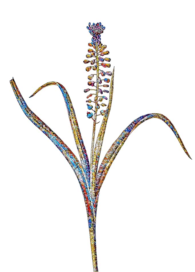 Stained Glass Botanical