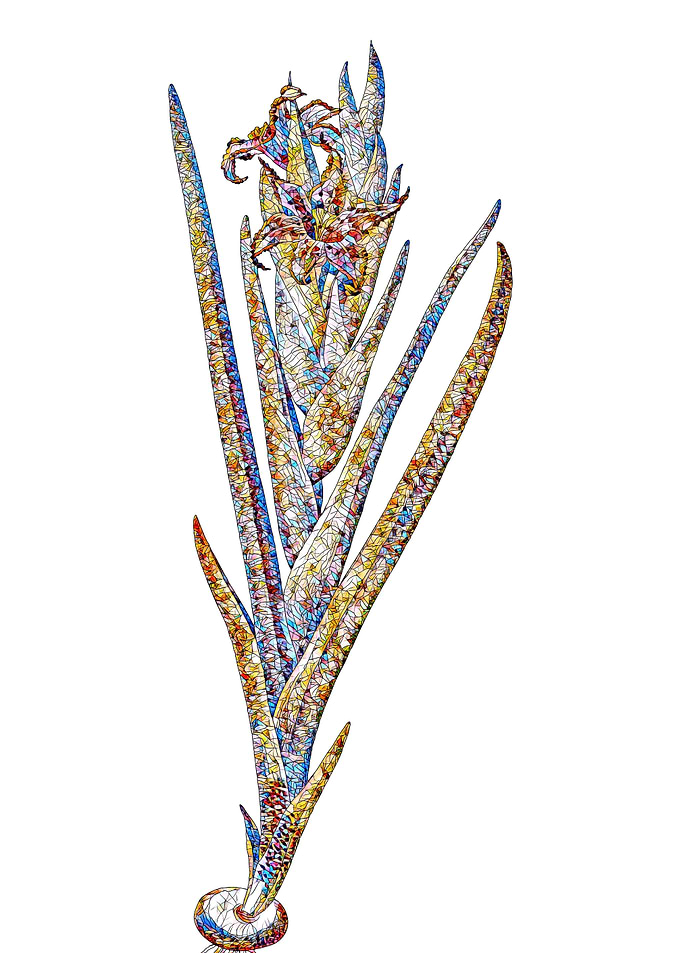 Stained Glass Botanical