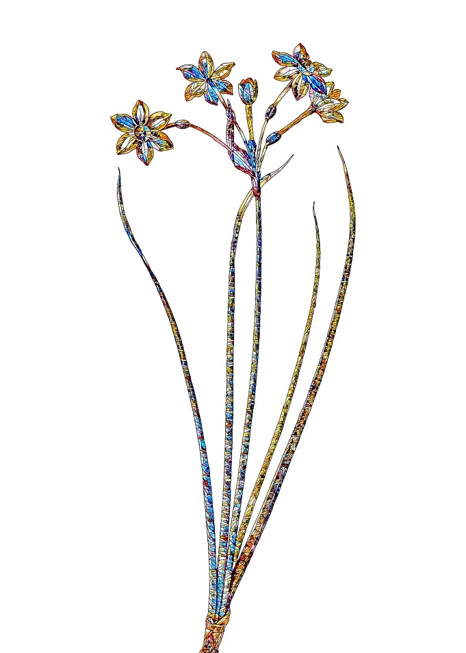 Stained Glass Daffodil