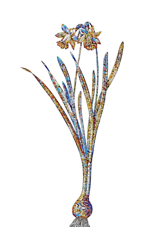 Stained Glass Daffodil
