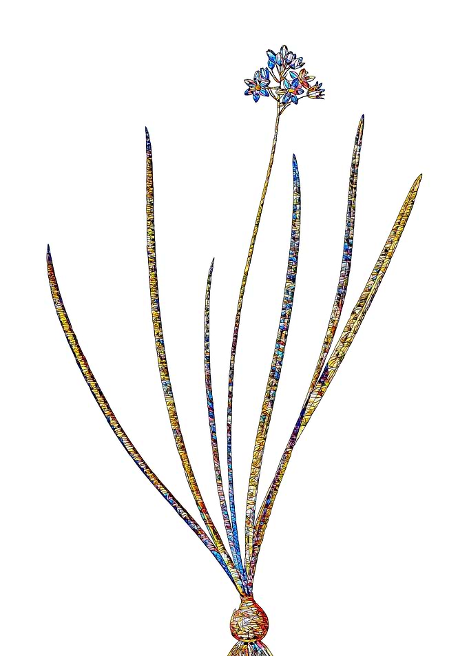 Prismatic Mosaic Floral