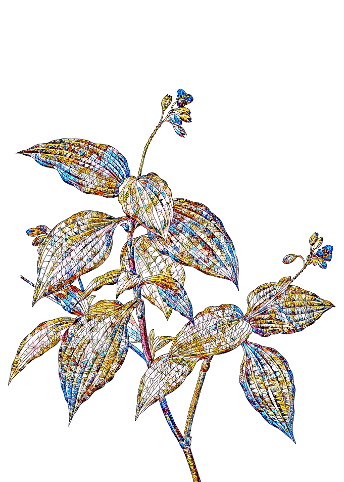 Prismatic Mosaic Floral