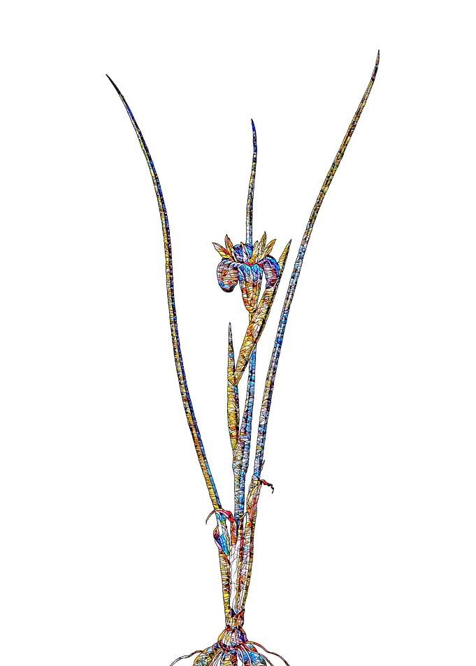 Rainbow Mosaic Flower
