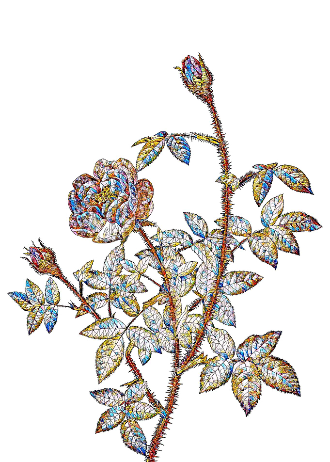 Stained Glass Rose Flower