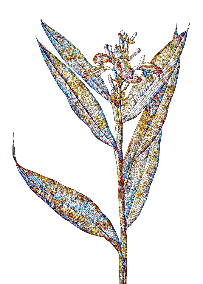 Stained Glass Botanical