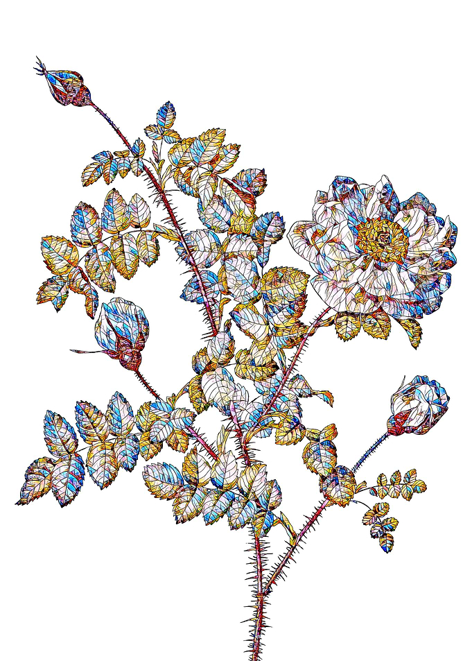 Stained Glass Rose Flower