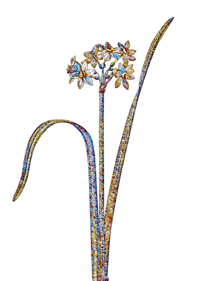 Stained Glass Daffodil