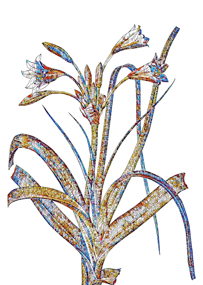 Stained Glass Lily Flower