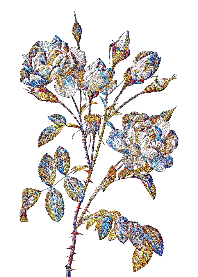 Stained Glass Rose Flower