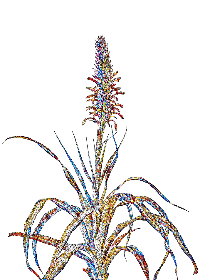 Rainbow Mosaic Flower