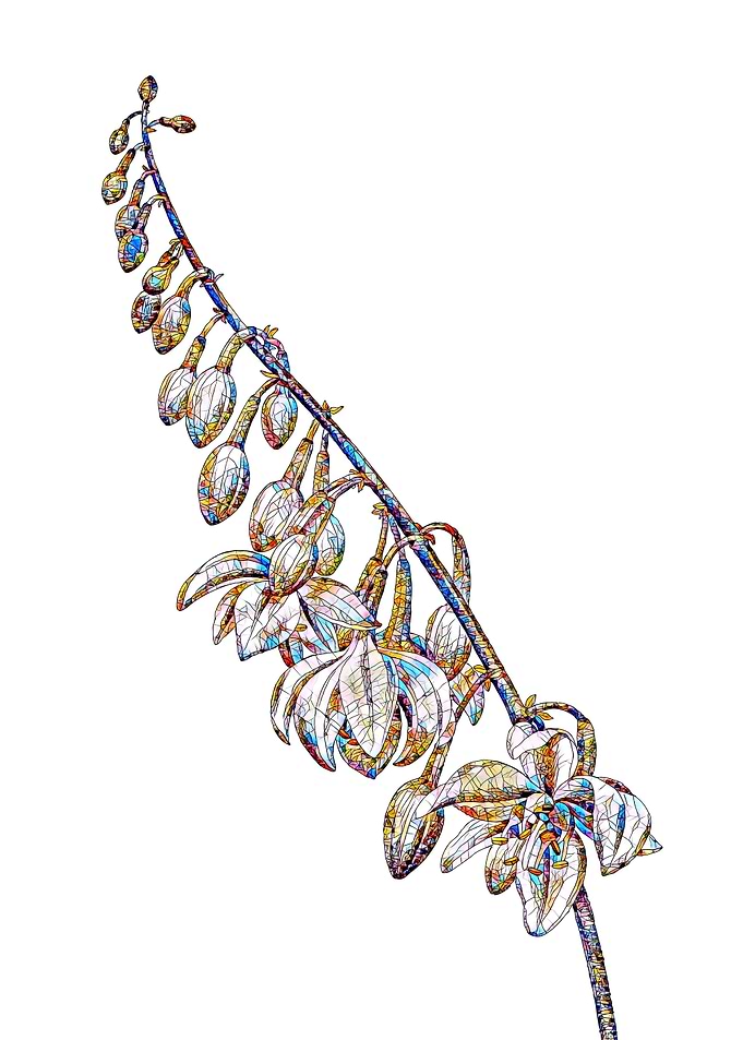 Stained Glass Botanical