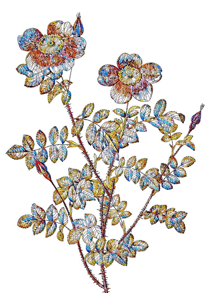 Stained Glass Rose Flower