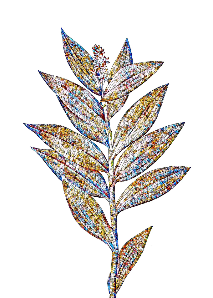 Rainbow Mosaic Flower