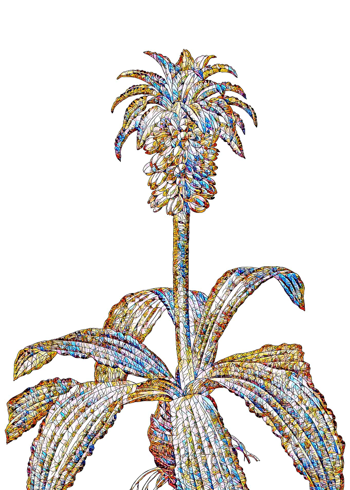 Stained Glass Botanical