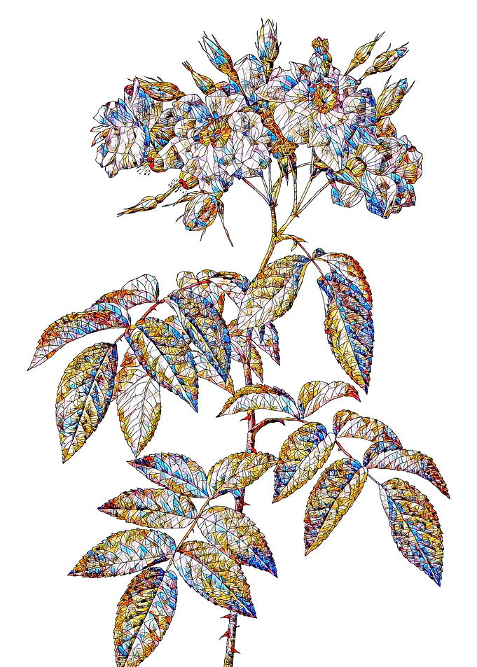 Stained Glass Rose Flower