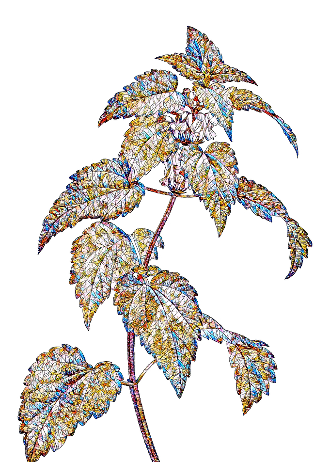 Prismatic Mosaic Floral