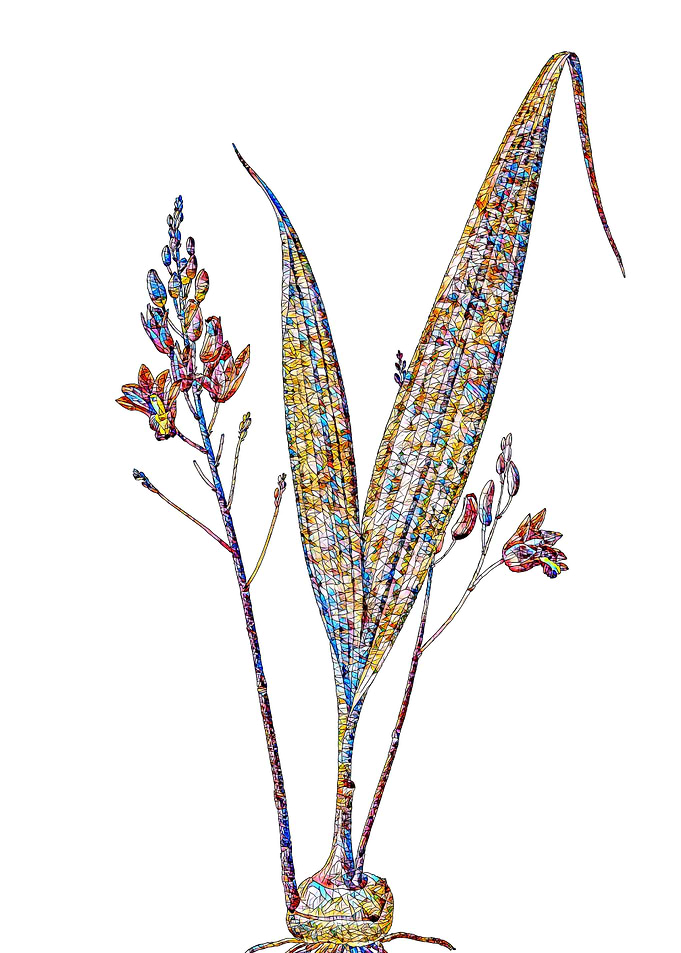 Rainbow Mosaic Flower