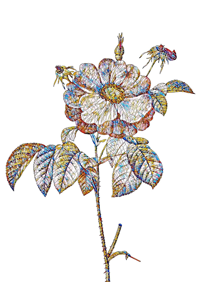 Stained Glass Rose Flower