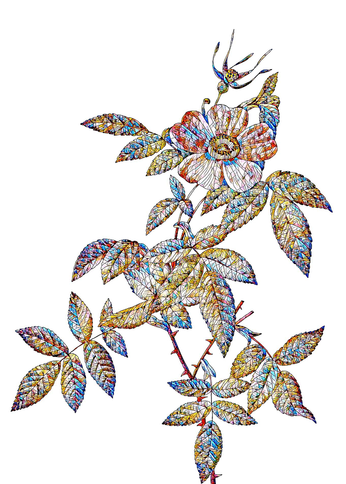 Stained Glass Rose Flower