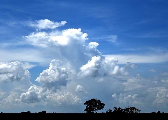 The sky