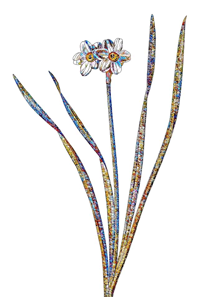 Rainbow Mosaic Flower