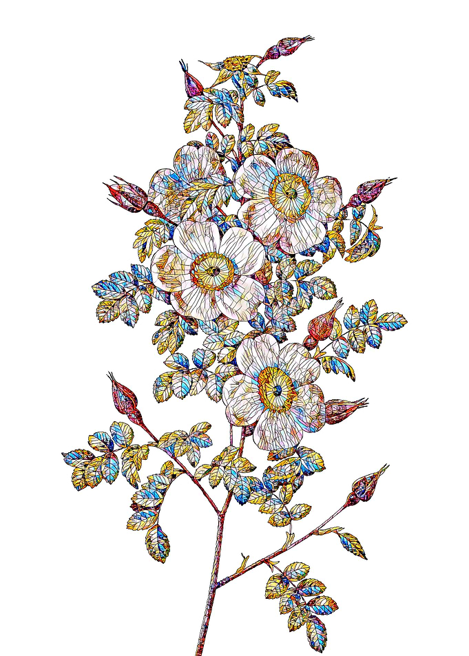 Stained Glass Rose Flower