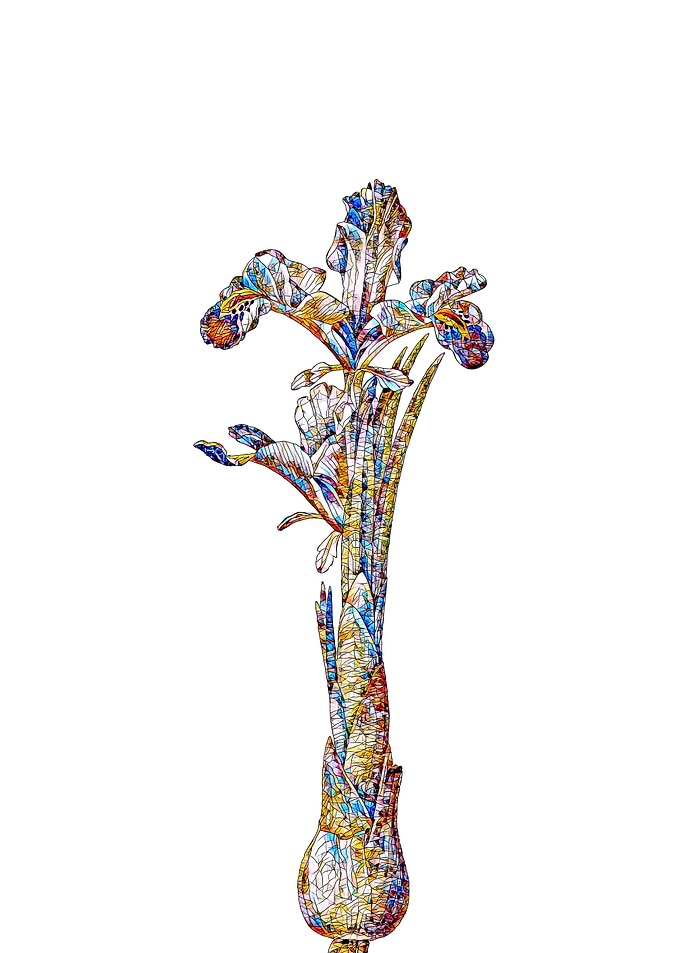 Stained Glass Iris Flower