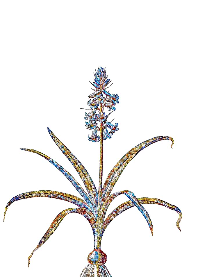 Rainbow Mosaic Flower