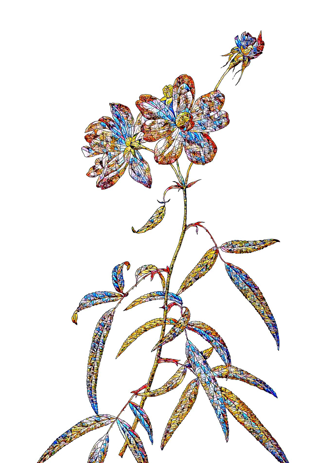 Stained Glass Rose Flower
