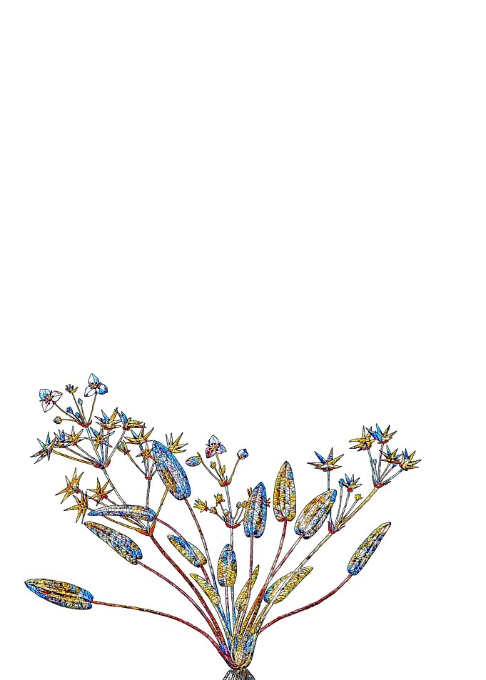 Prismatic Mosaic Floral