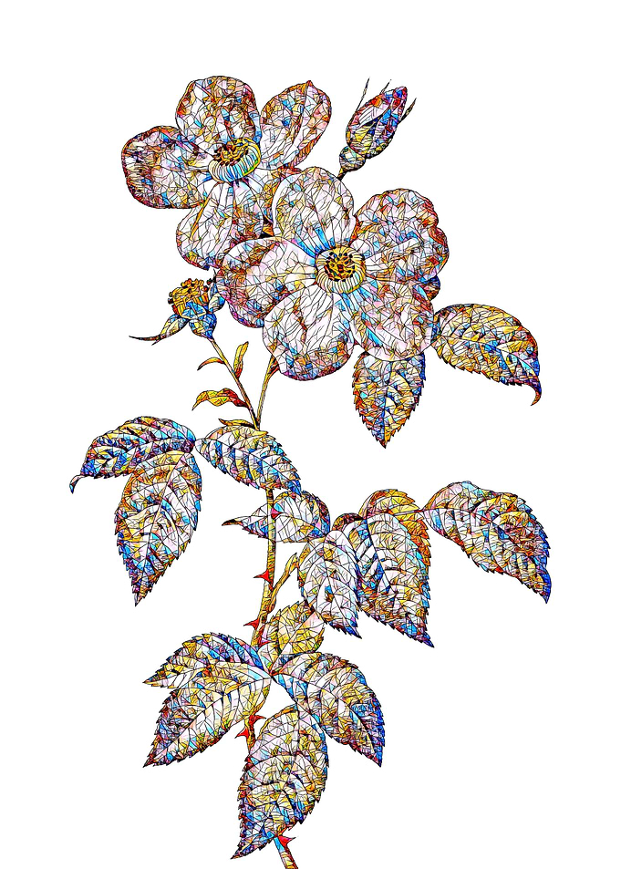 Stained Glass Rose Flower