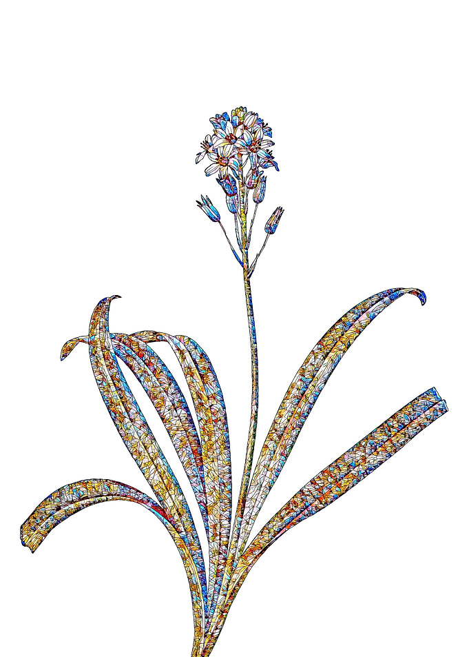 Prismatic Mosaic Floral