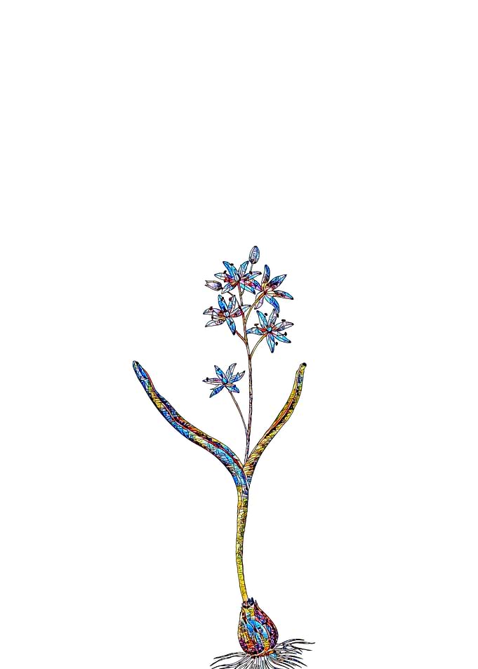 Stained Glass Botanical
