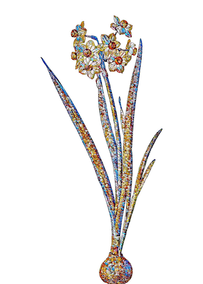 Stained Glass Daffodil