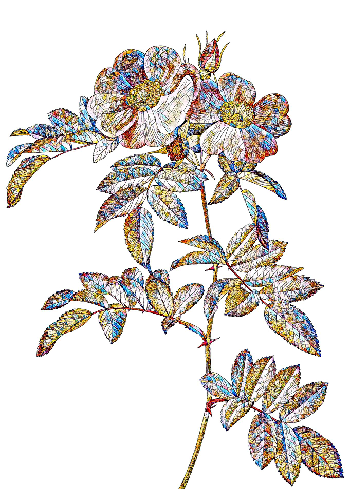 Stained Glass Rose Flower