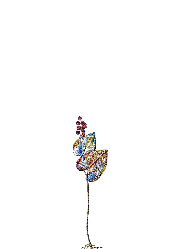Stained Glass Botanical