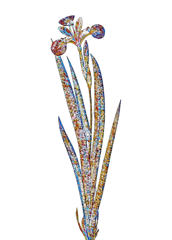 Stained Glass Botanical
