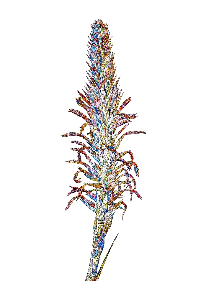 Rainbow Mosaic Flower