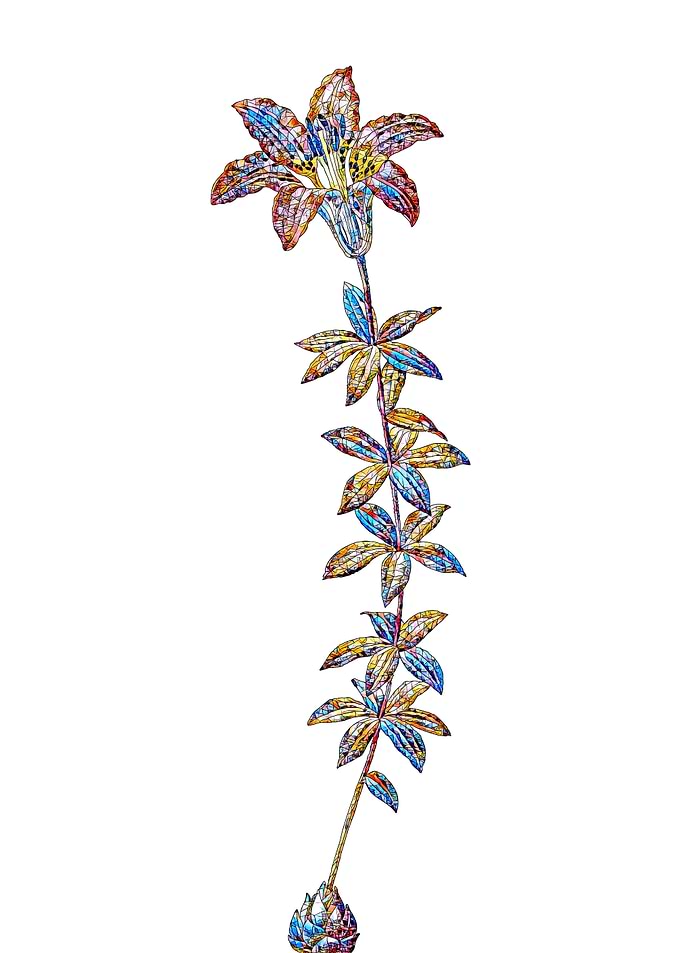 Stained Glass Lily Flower