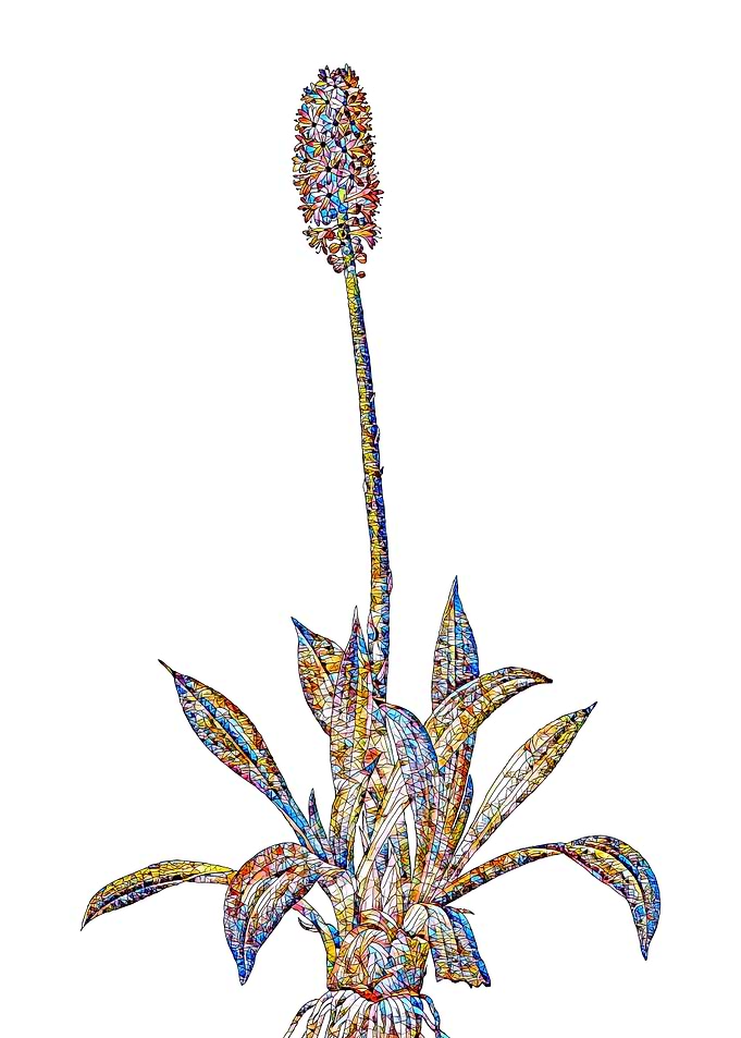 Prismatic Mosaic Floral