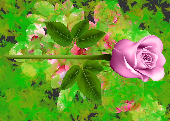 Love flowers Single Rose