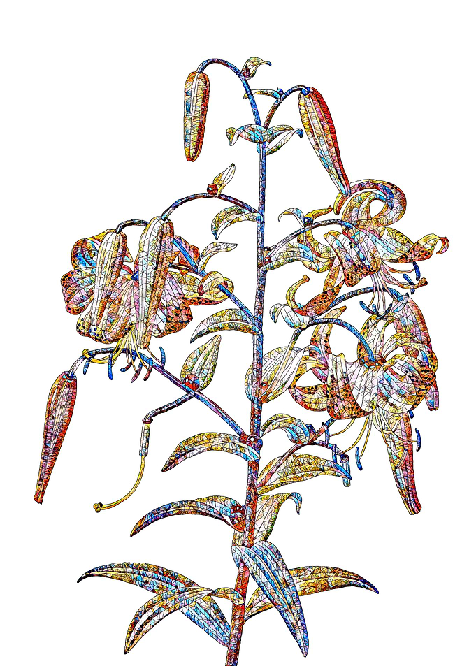 Stained Glass Lily Flower