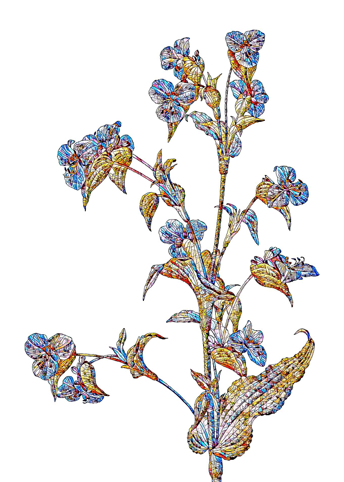 Stained Glass Botanical
