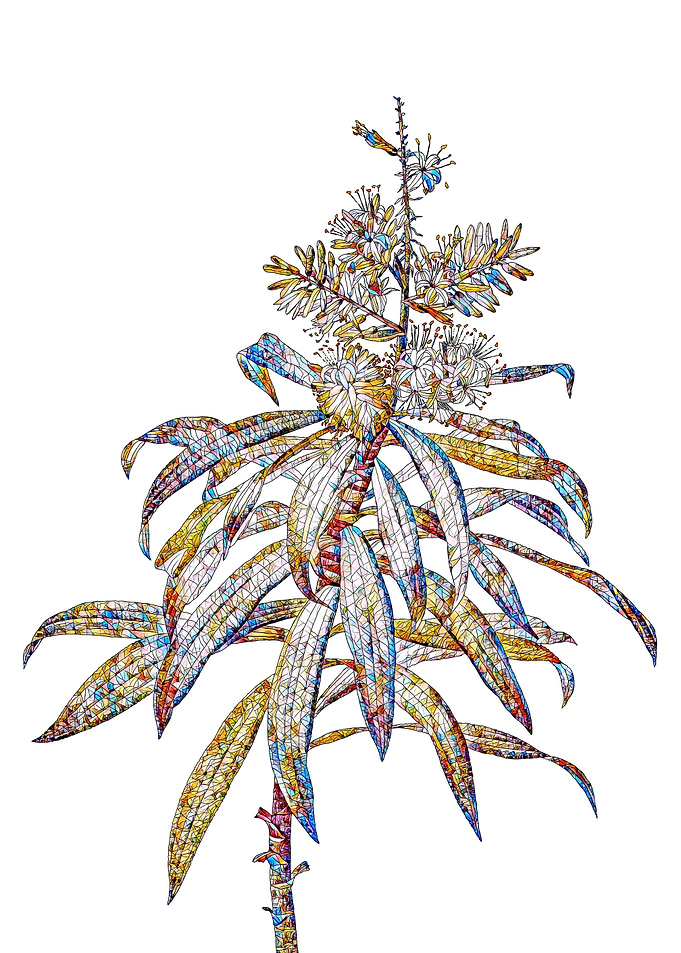 Rainbow Mosaic Flower