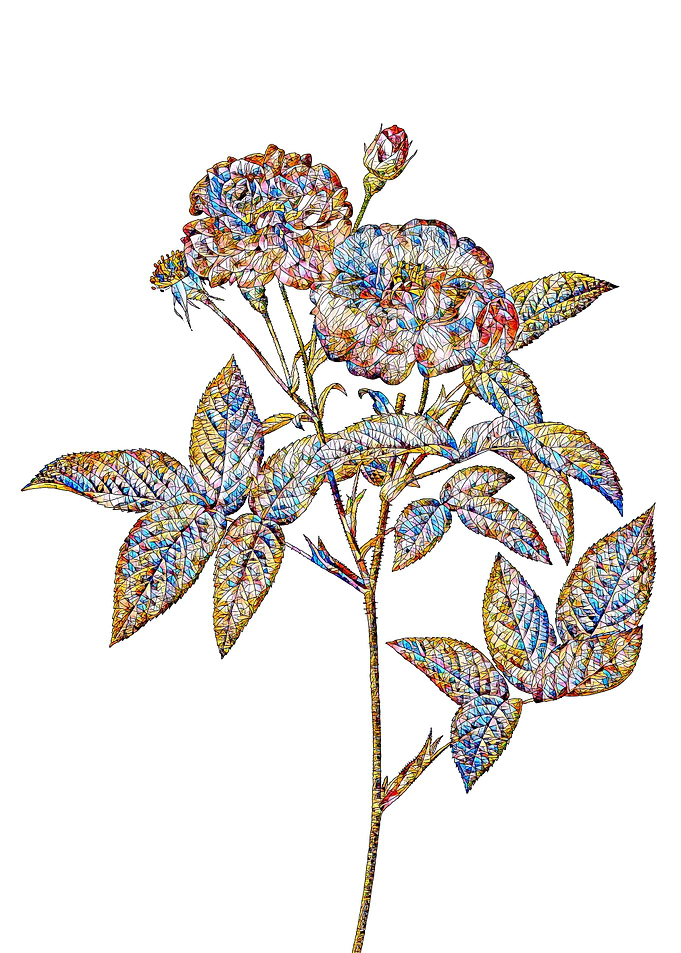 Stained Glass Rose Flower