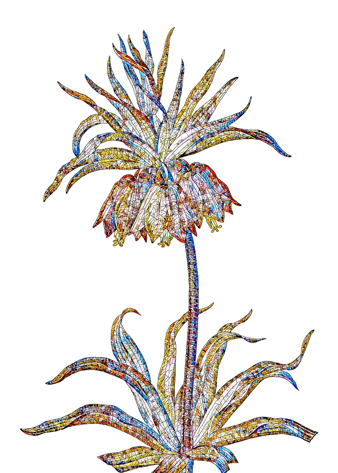 Stained Glass Botanical
