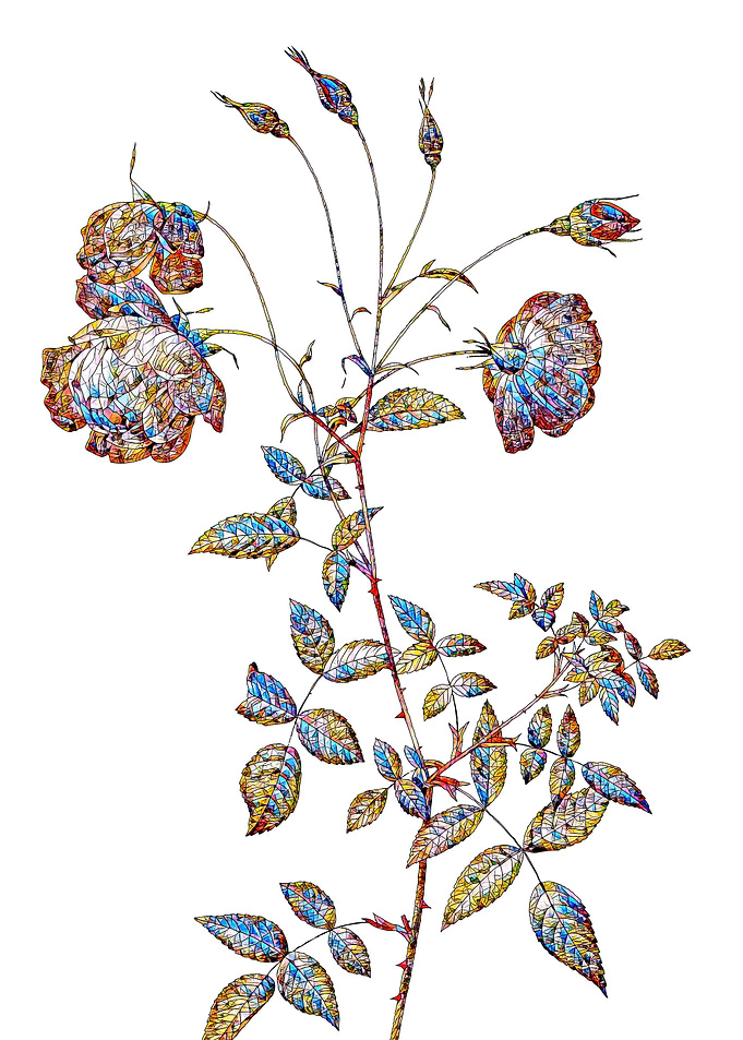 Stained Glass Rose Flower