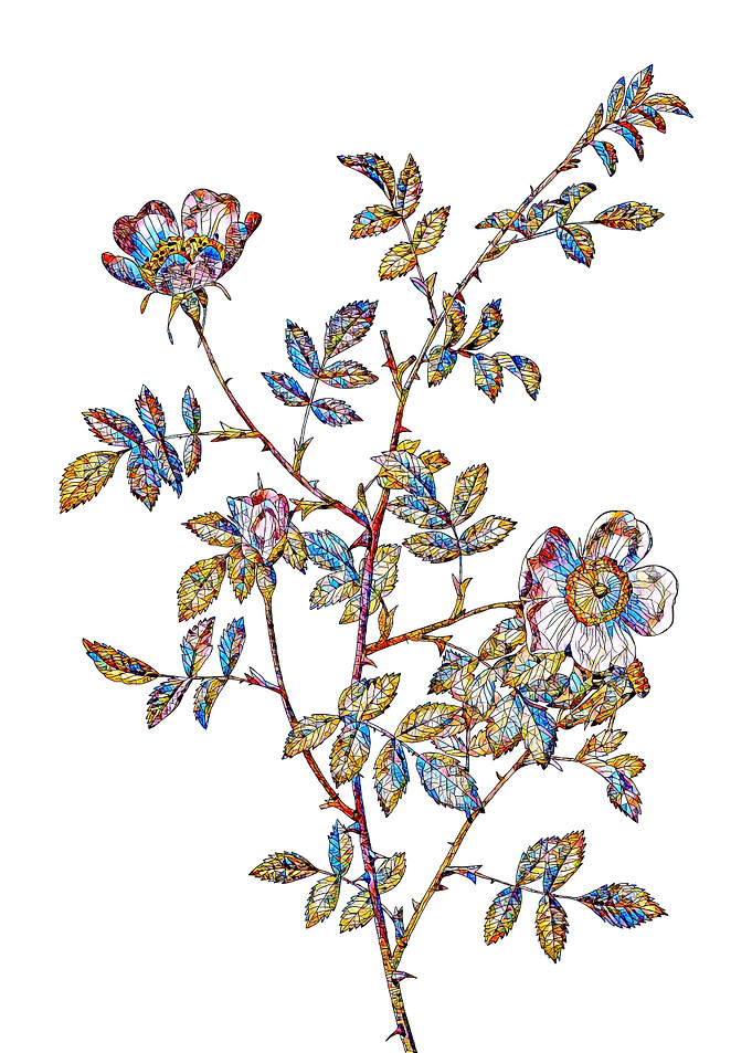 Stained Glass Rose Flower