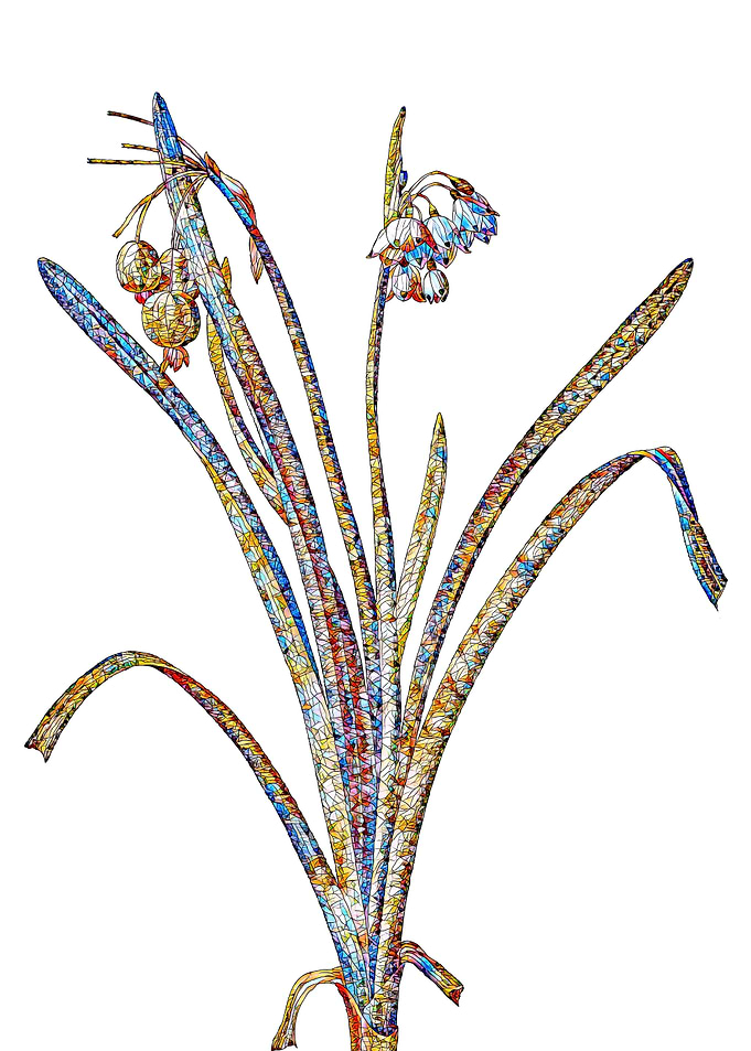 Prismatic Mosaic Floral